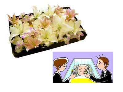 �T���v���摜